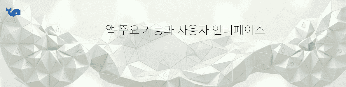 앱 주요 기능과 사용자 인터페이스