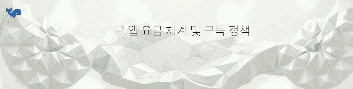 앱 요금 체계 및 구독 정책