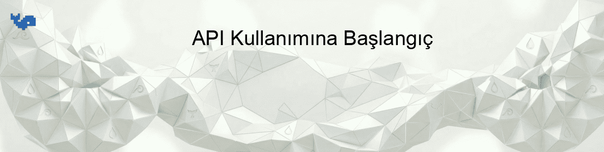 API Kullanımına Başlangıç