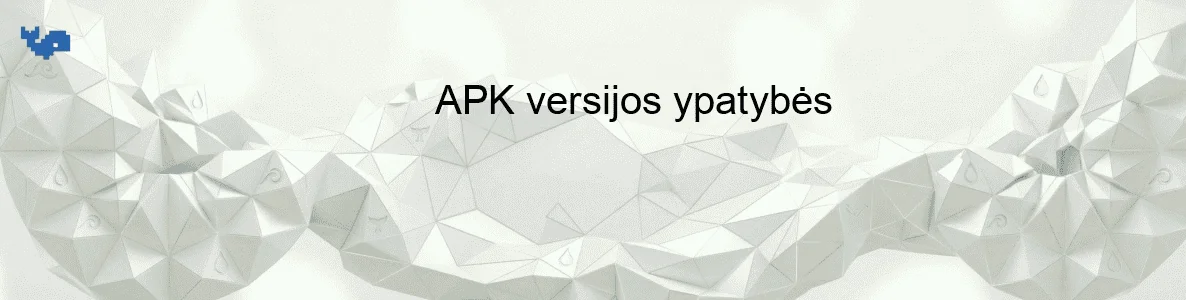 APK versijos ypatybės