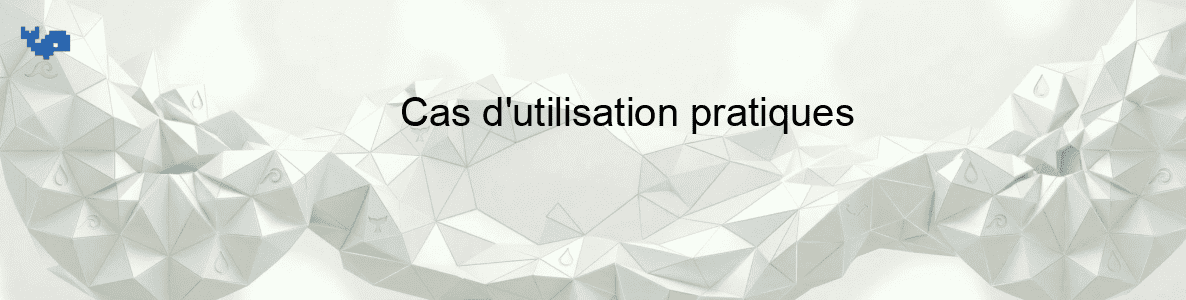 Cas d'utilisation pratiques