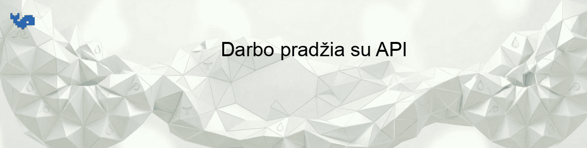 Darbo pradžia su API