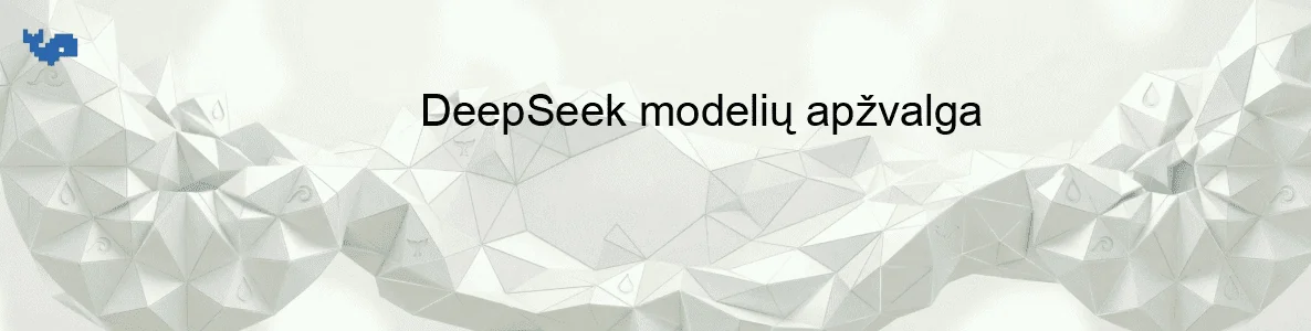 DeepSeek modelių apžvalga