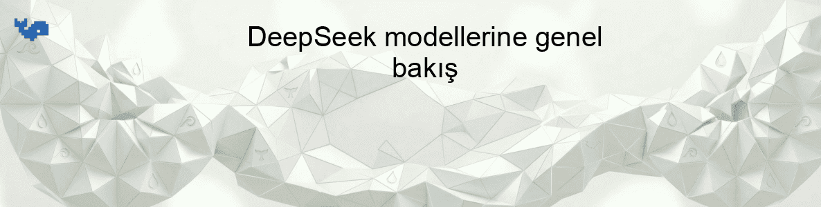 DeepSeek modellerine genel bakış