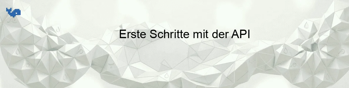 Erste Schritte mit der API