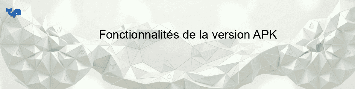 Fonctionnalités de la version APK
