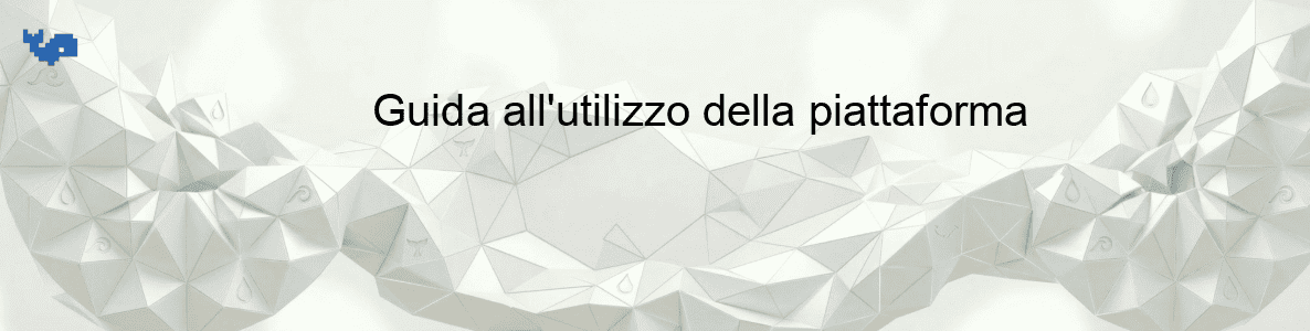 Guida all'utilizzo della piattaforma