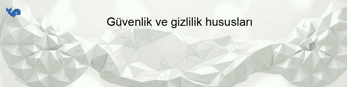 Güvenlik ve gizlilik hususları
