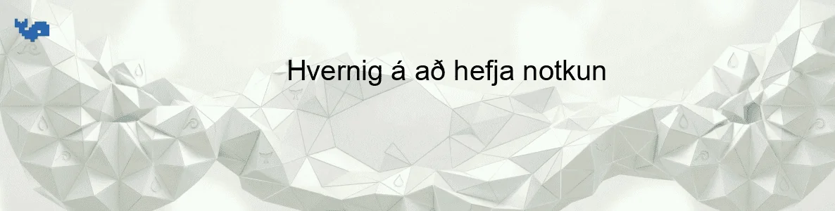 Hvernig á að hefja notkun