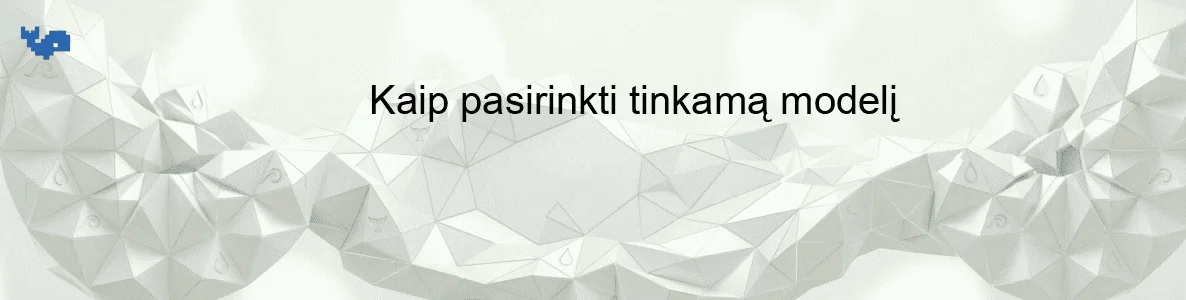 Kaip pasirinkti tinkamą modelį
