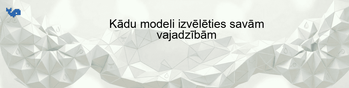 Kādu modeli izvēlēties savām vajadzībām