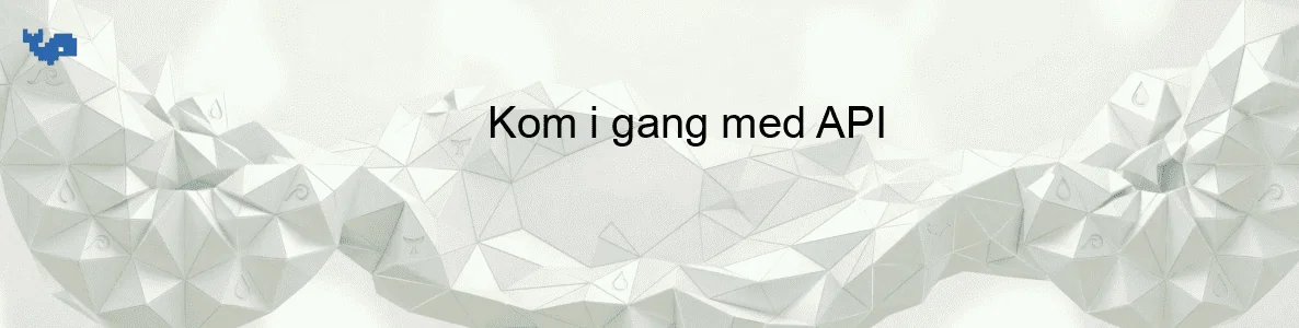 Kom i gang med API