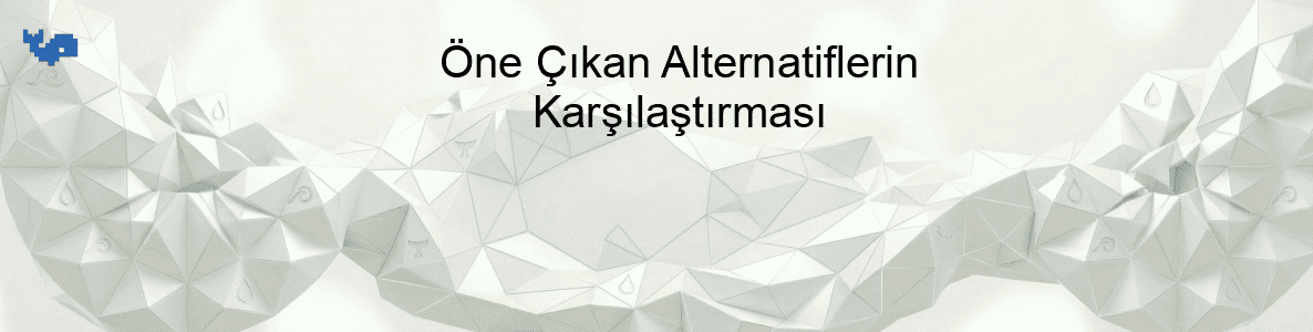 Öne Çıkan Alternatiflerin Karşılaştırması