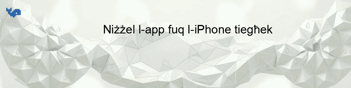 Niżżel l-app fuq l-iPhone tiegħek