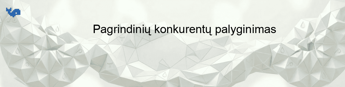 Pagrindinių konkurentų palyginimas