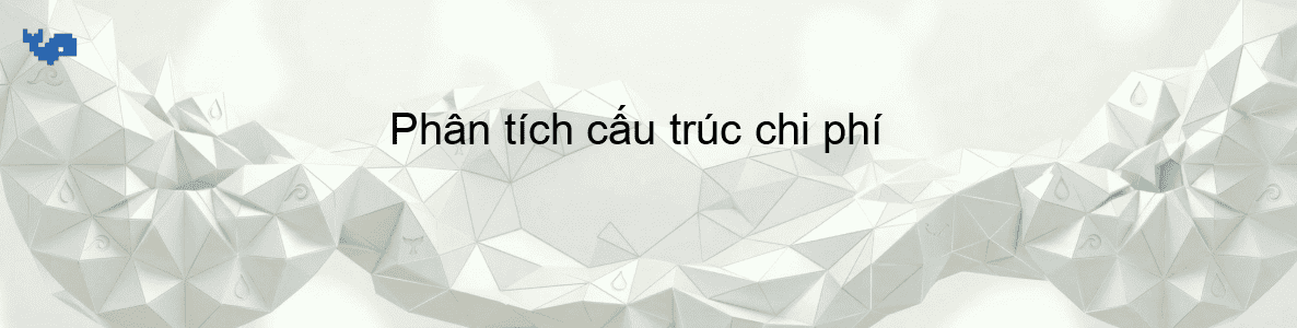 Phân tích cấu trúc chi phí
