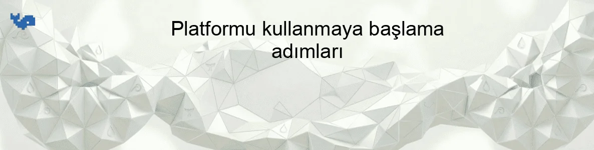 Platformu kullanmaya başlama adımları
