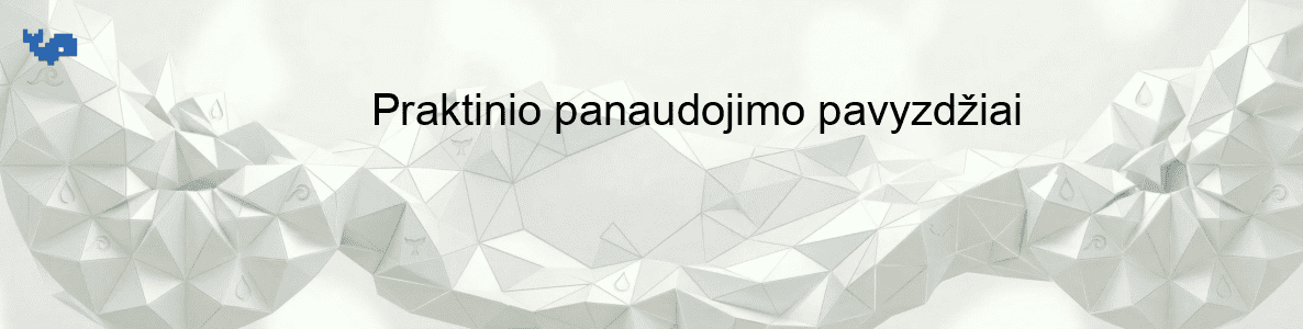 Praktinio panaudojimo pavyzdžiai