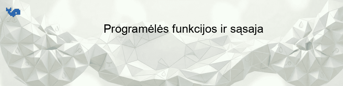Programėlės funkcijos ir sąsaja