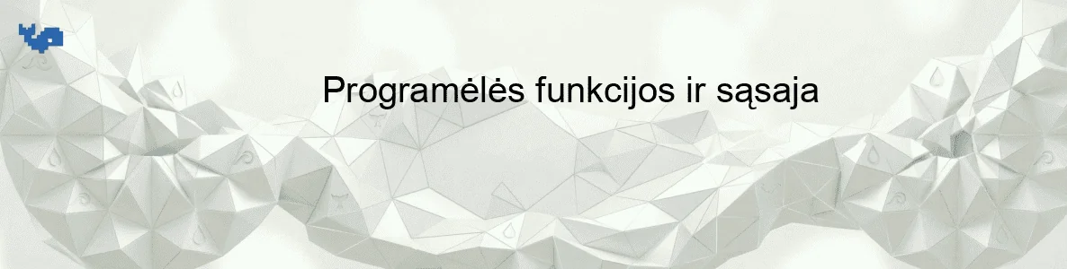 Programėlės funkcijos ir sąsaja