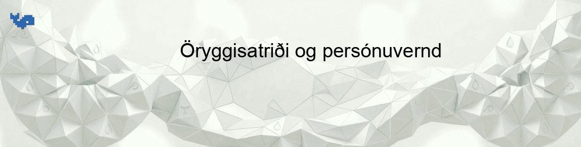 Öryggisatriði og persónuvernd