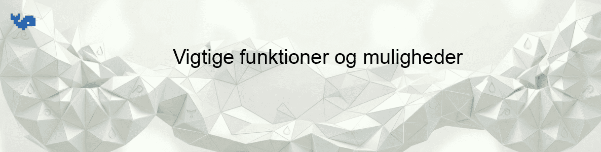 Vigtige funktioner og muligheder