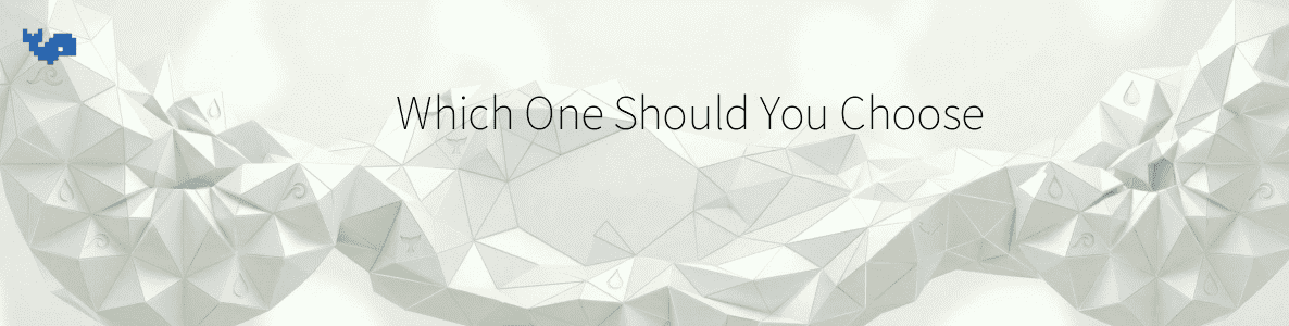 Which One Should You Choose