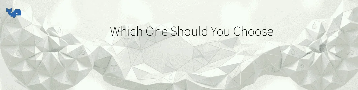 Which One Should You Choose