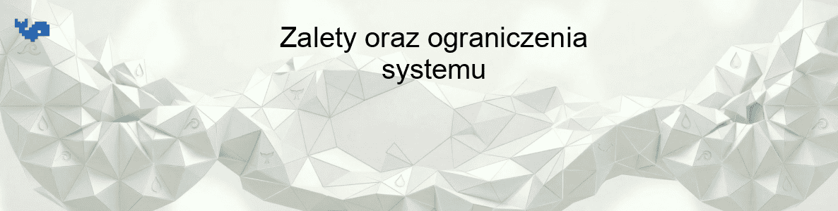 Zalety oraz ograniczenia systemu